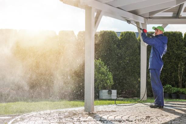 Pre-Holiday Cleaning in Rosemont, IL